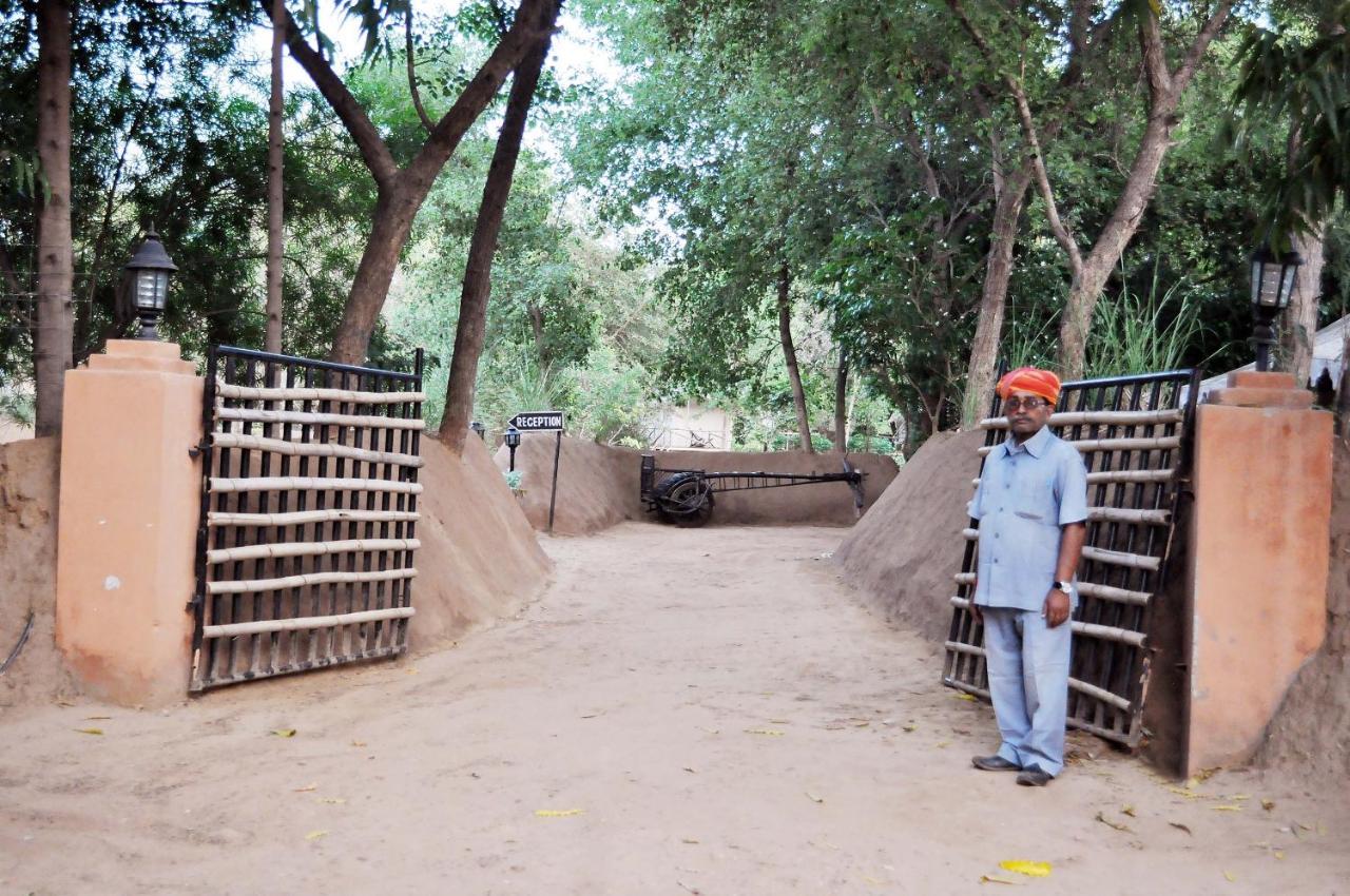 Tiger Machan Sawai Madhopur Ngoại thất bức ảnh