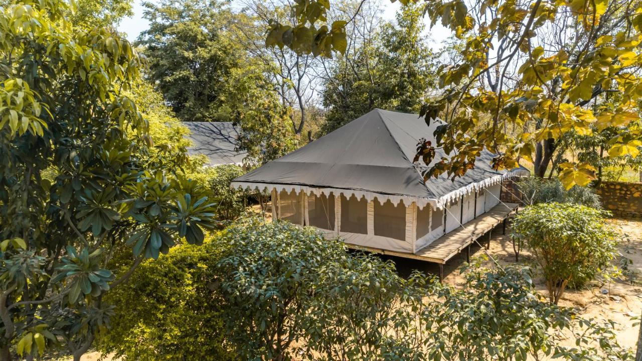 Tiger Machan Sawai Madhopur Ngoại thất bức ảnh